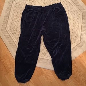 Navy blue velour lounge pants. Washed never worn.